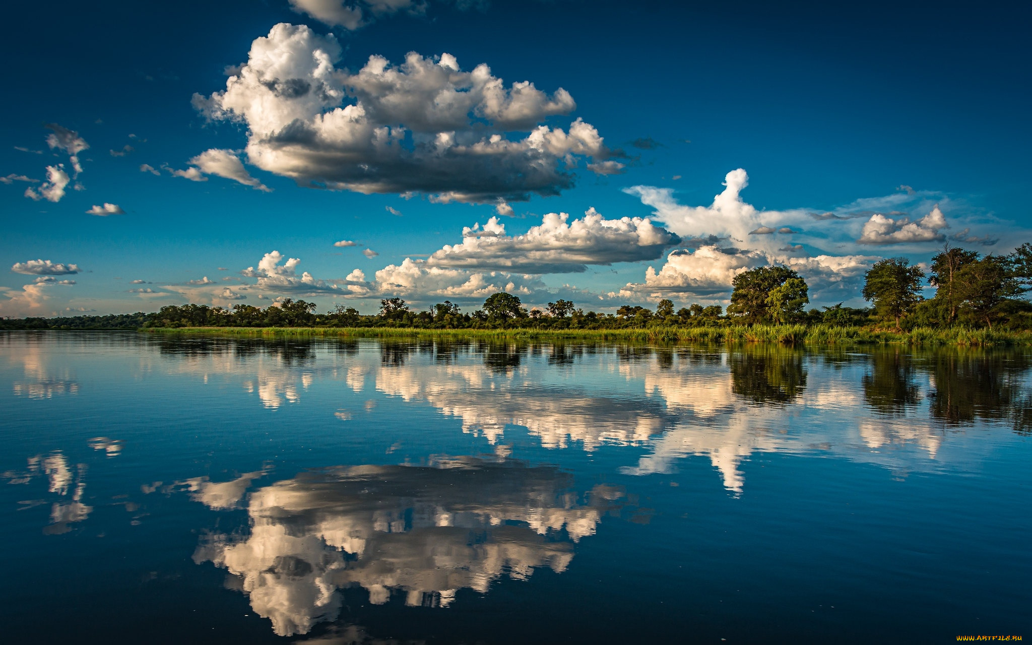 the okavango river, africa, , , , the, okavango, river